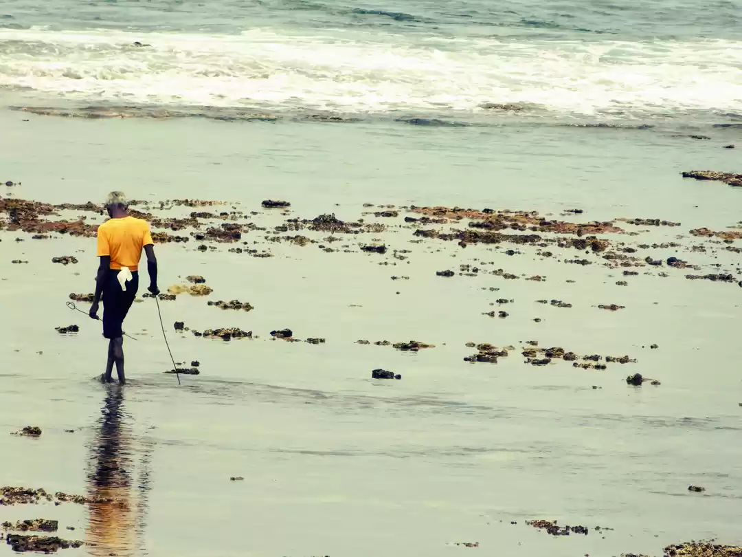 Photo of "Ayubowan" - The pea