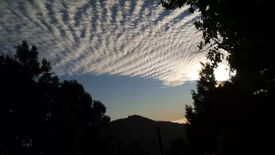 Photo of THE BEGINNING!