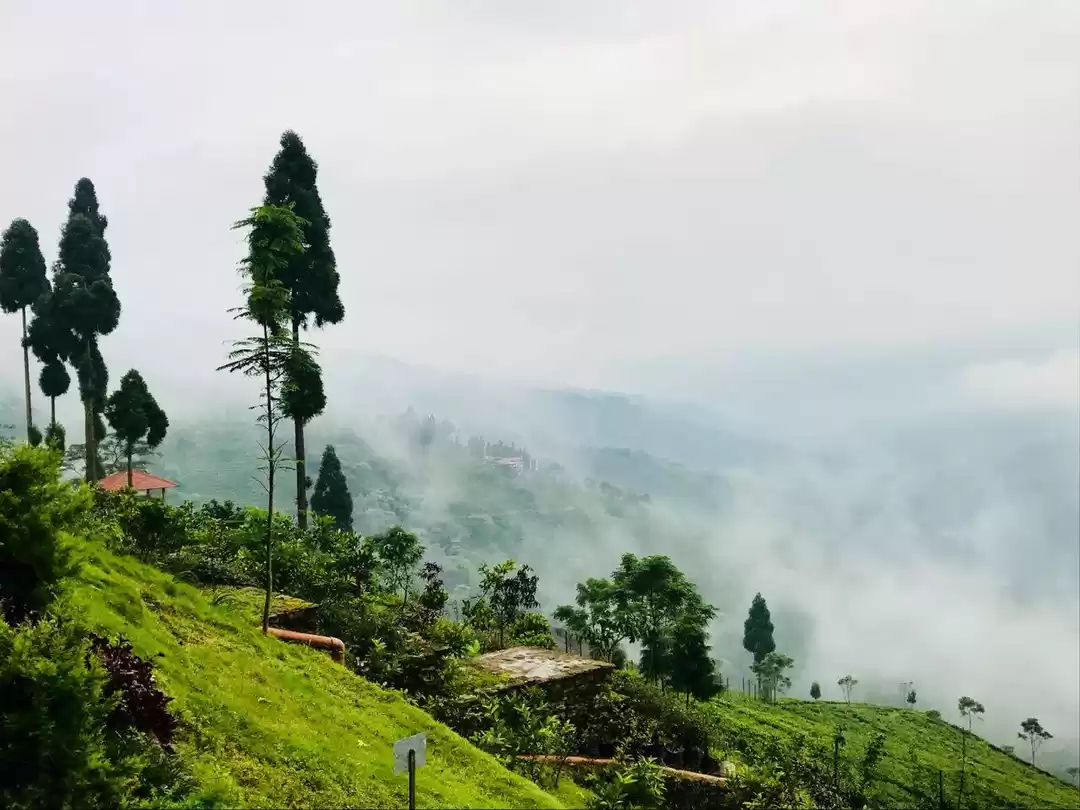 Photo of Tung Chiyabari Mount
