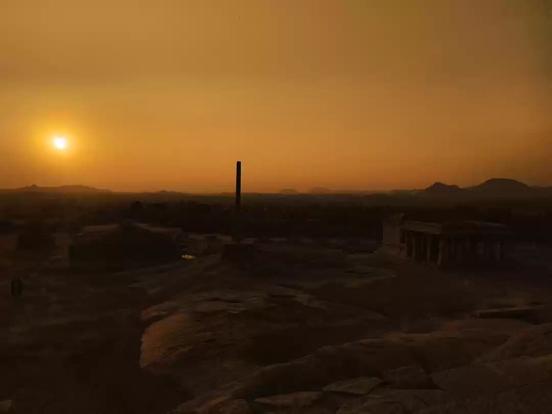 Photo of The Eleutheromania M