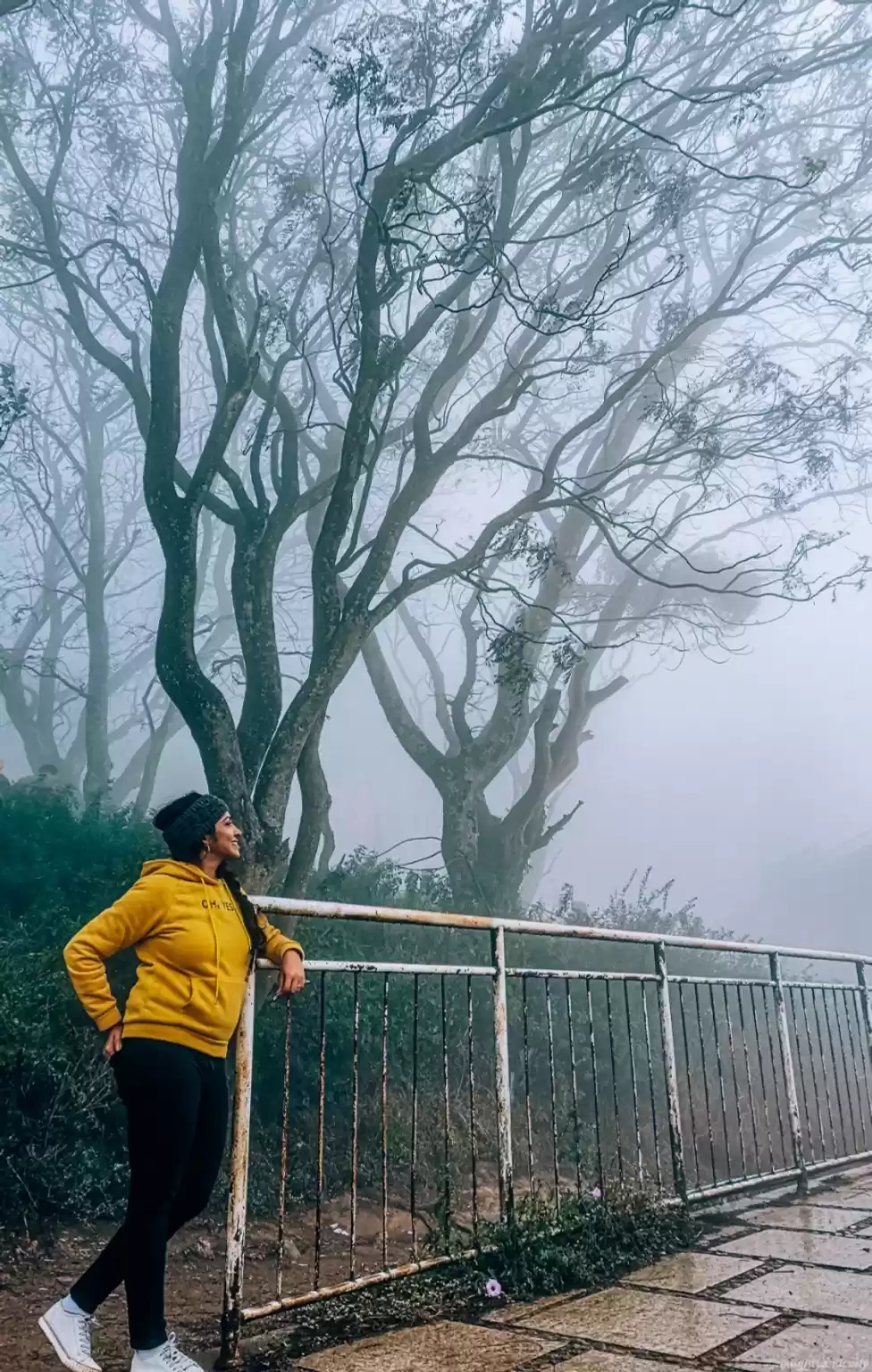 Photo of Nandi Hills, Bengalu