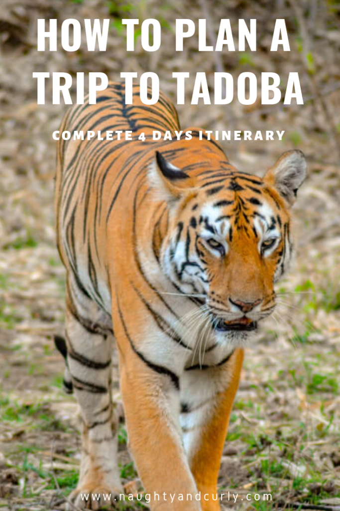 Photo of How To Plan a trip t