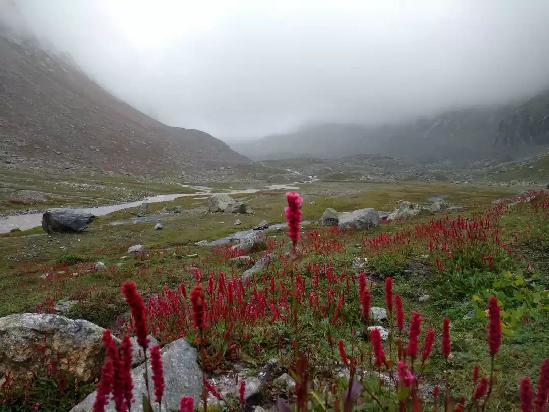 Photo of Hampta Pass Trek