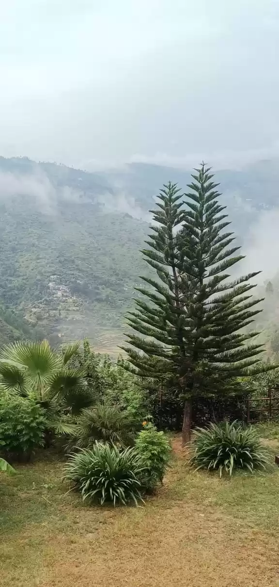 Photo of A Mesmerizing Locati