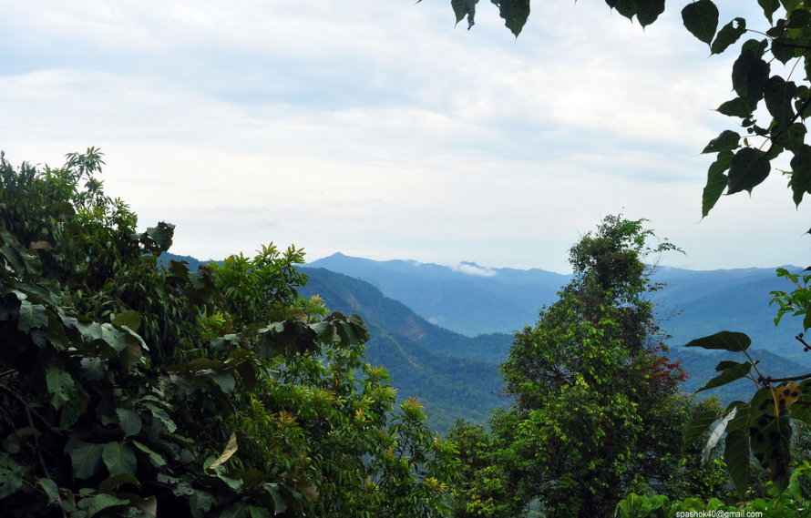 Photo of Head to Agumbe this 