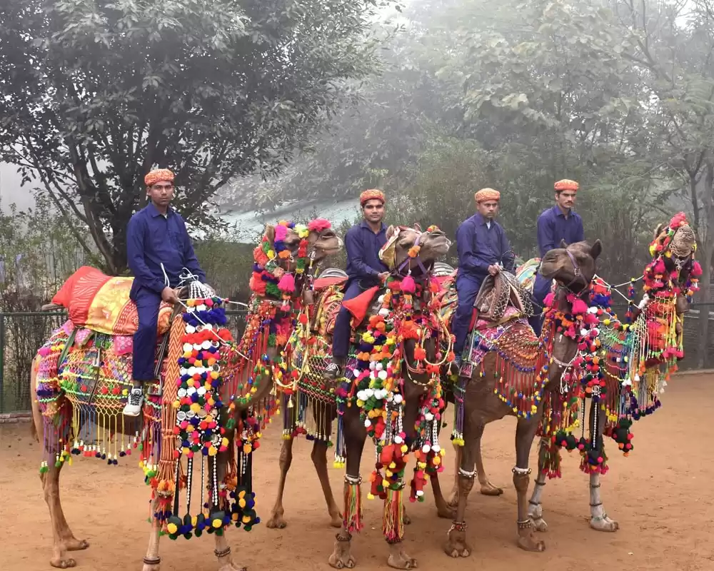 Photo of These village resort