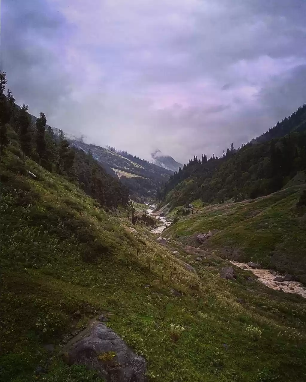 Photo of ITS MAGIC IN WAI-CHI