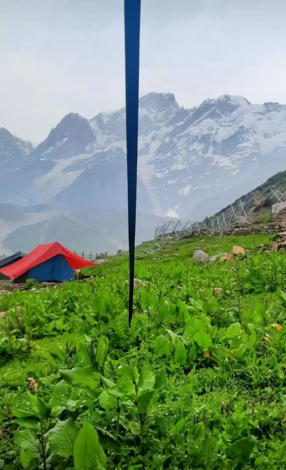 Photo of Kedarnath temple