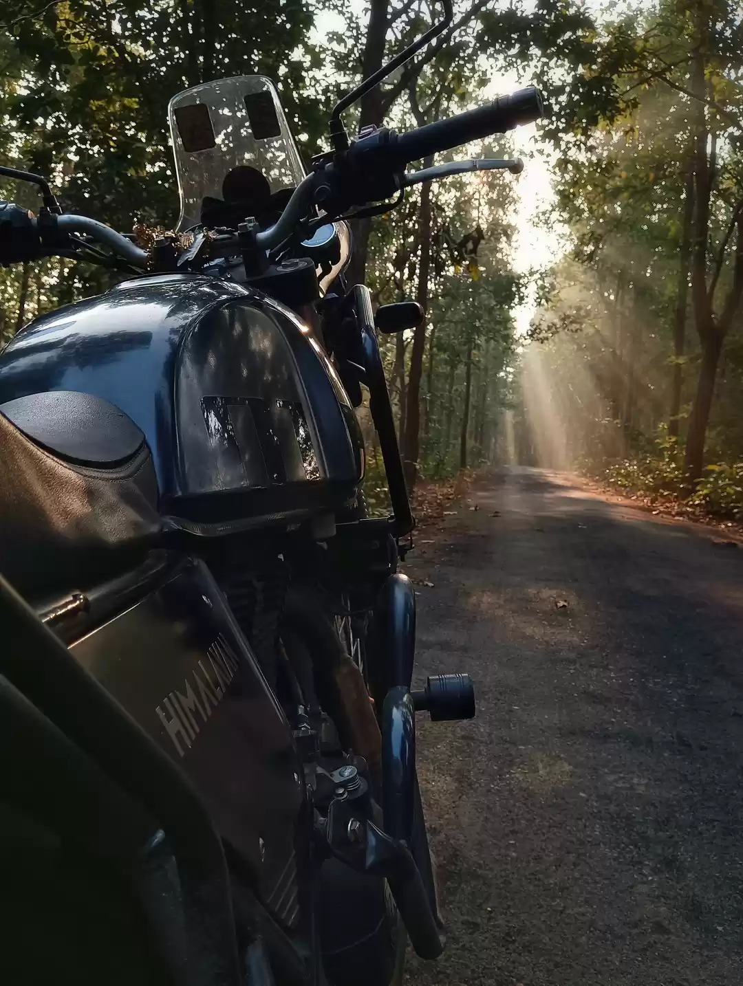 Photo of Wandering_Wheelz