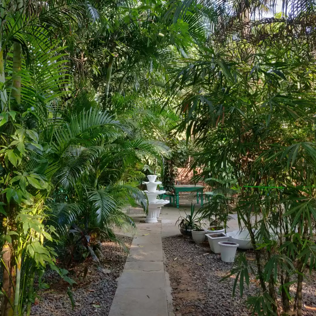 Photo of With Goa now open to