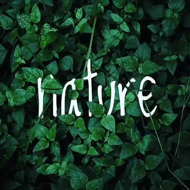 Photo of Best time to visit M