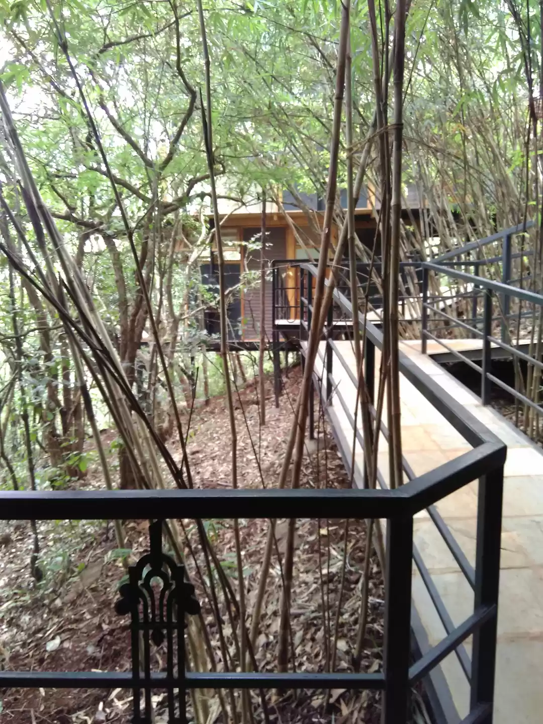 Photo of Treehouse Getaway Ou
