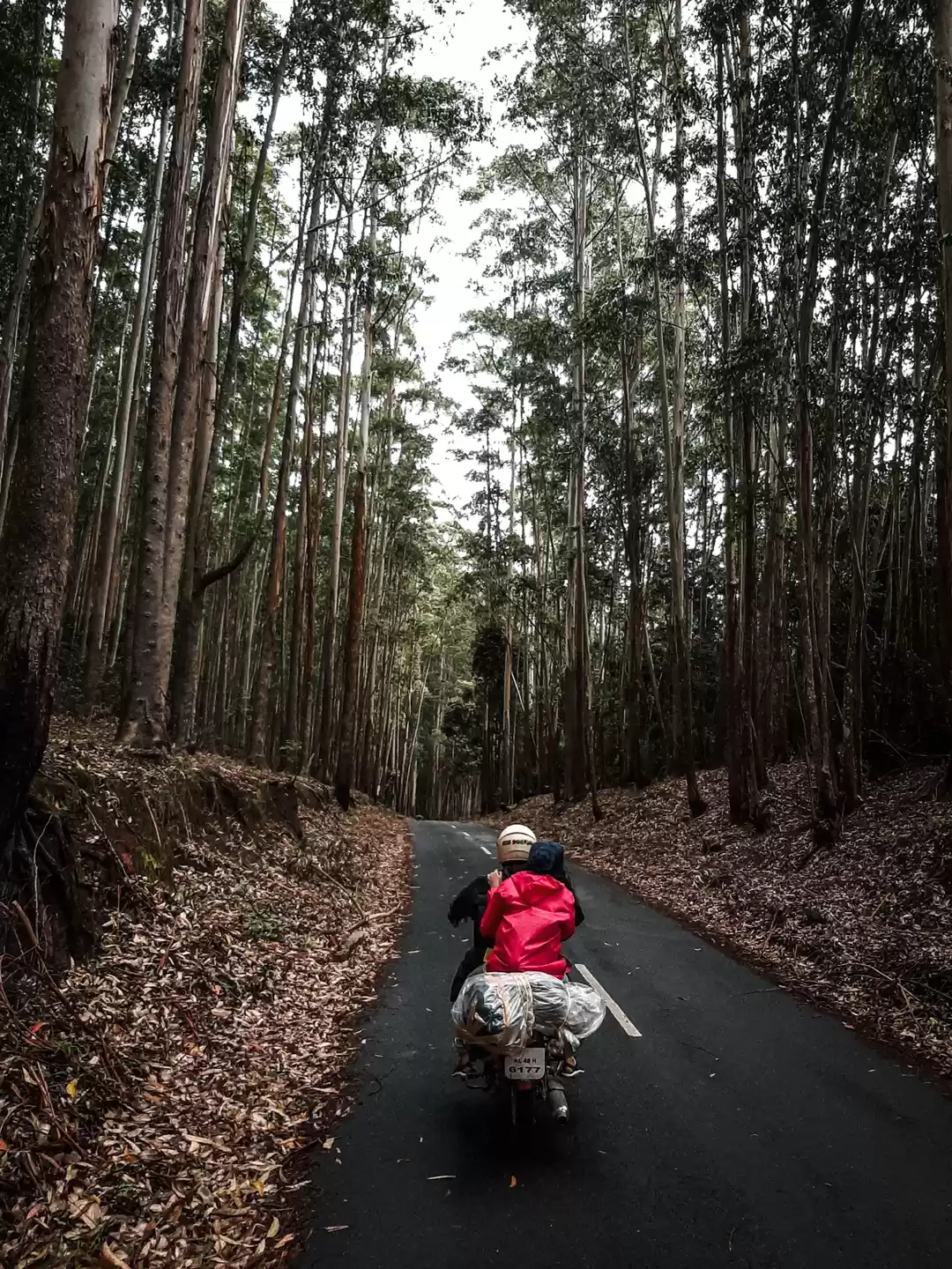 Photo of Things To Do In Munn