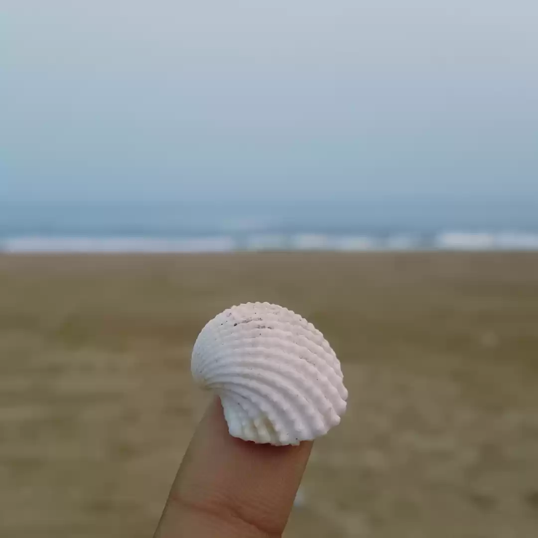 Photo of Puri - Beach & Food