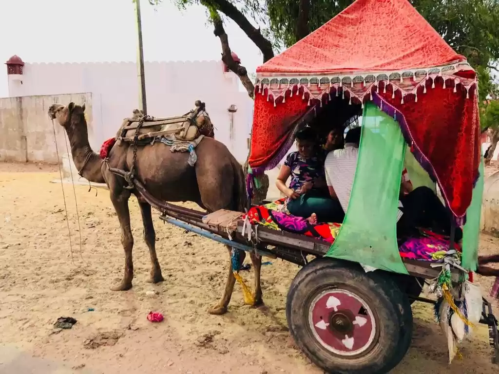 Photo of PUSHKAR - affordable