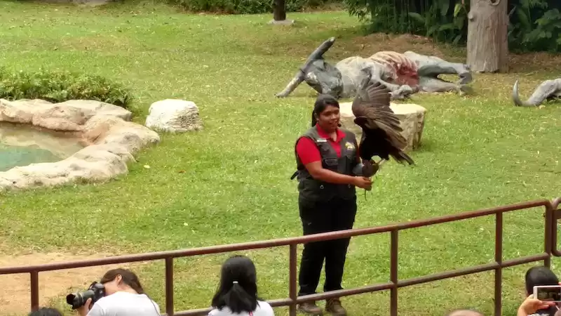 Photo of Christmas in Singapo