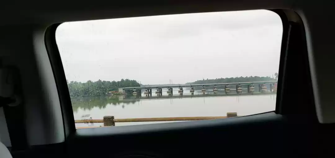 Photo of For the love of biry