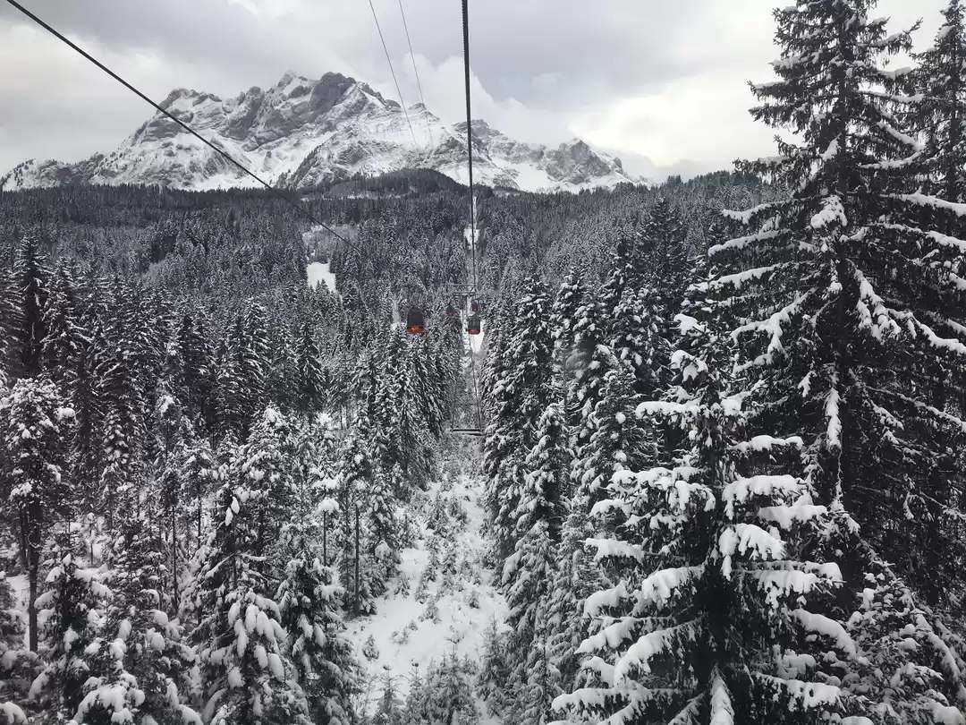 Photo of Snow Heaven at Mt Pi