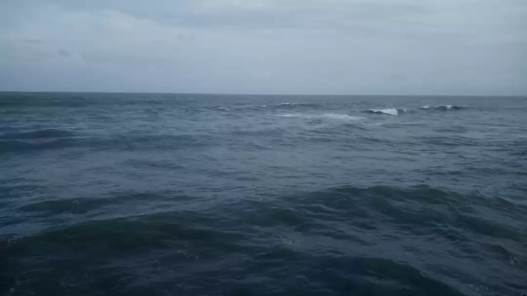 Photo of Evergreen Goa