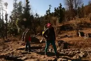 Photo of You are a woman – Pl