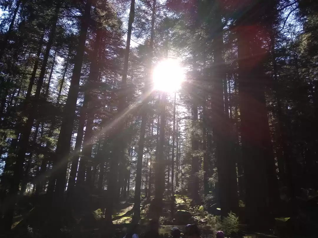 Photo of First day of my Solo