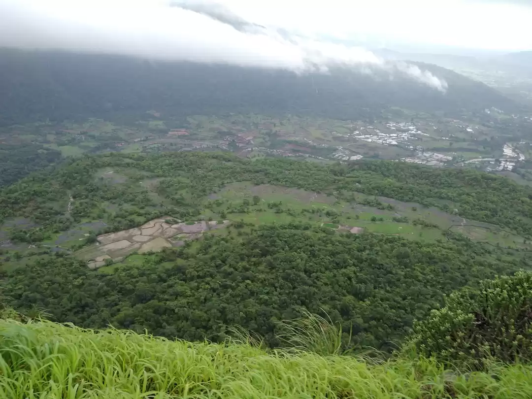 Photo of No good views come b