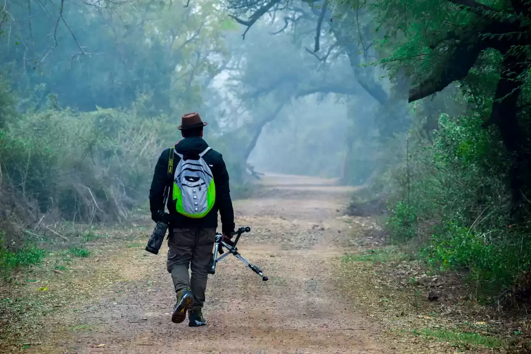 Photo of Photo tour: A Day tr