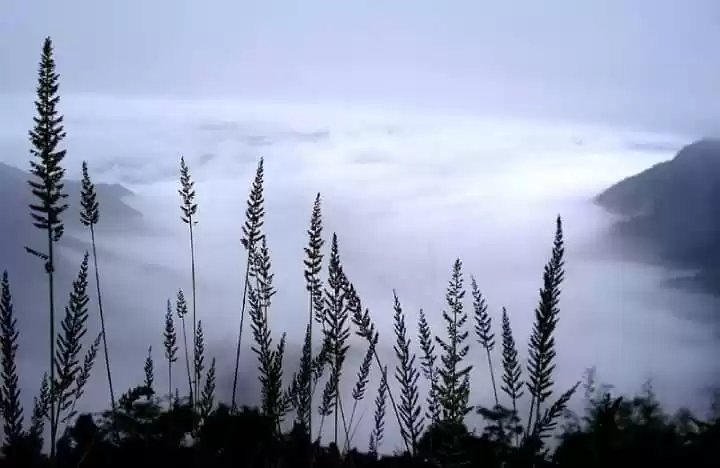 Photo of Into the Abode of Cl