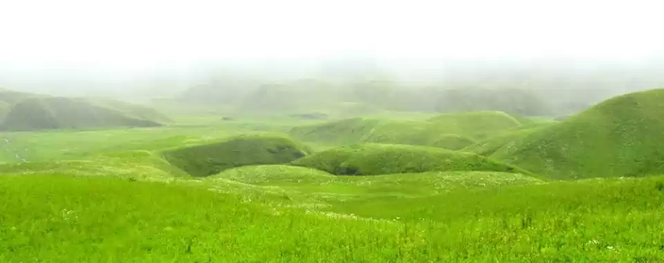 Photo of Dzukou Valley: The s