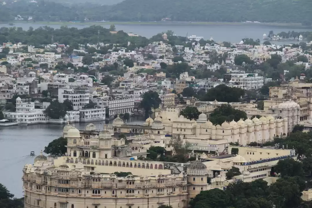 Photo of "ROAMING LIKE BIRDS 