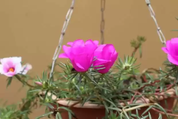 Photo of Find Out What to See