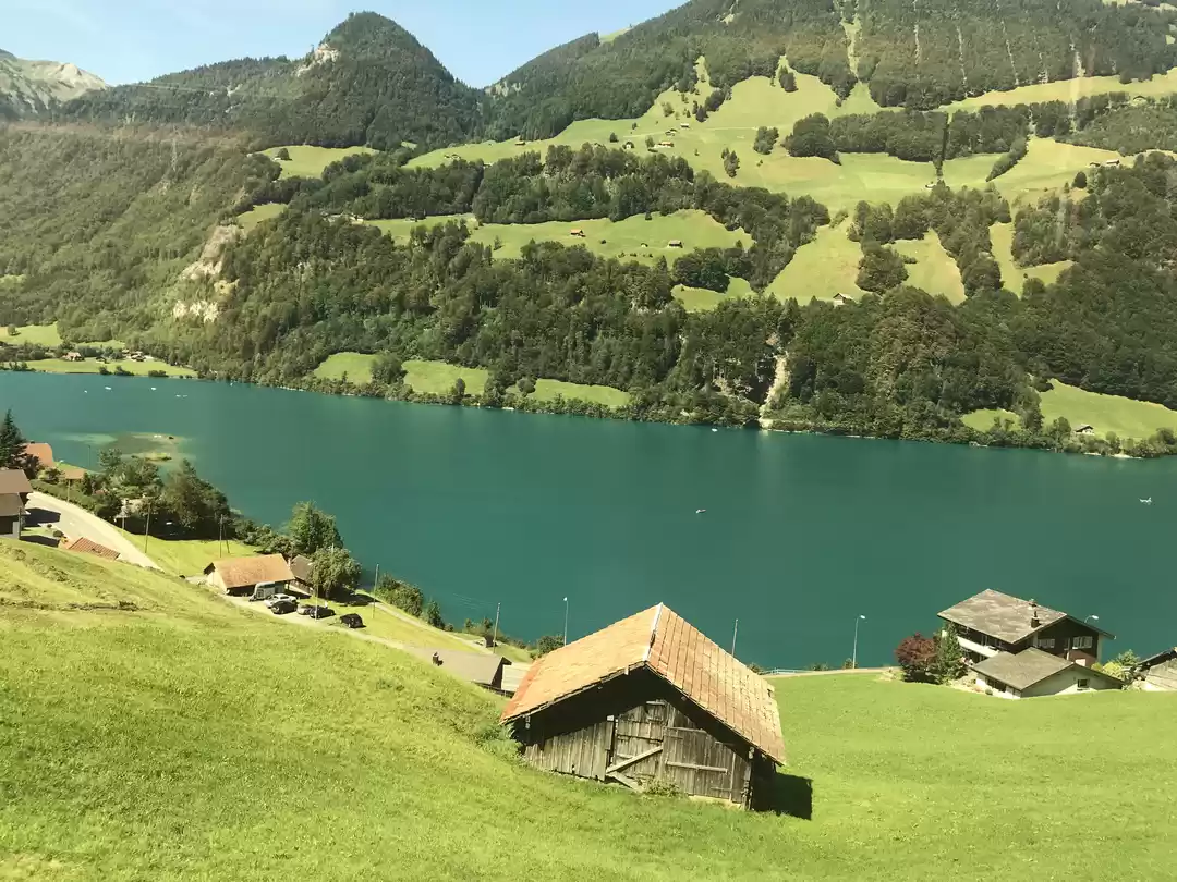 Photo of Swiss Bliss
