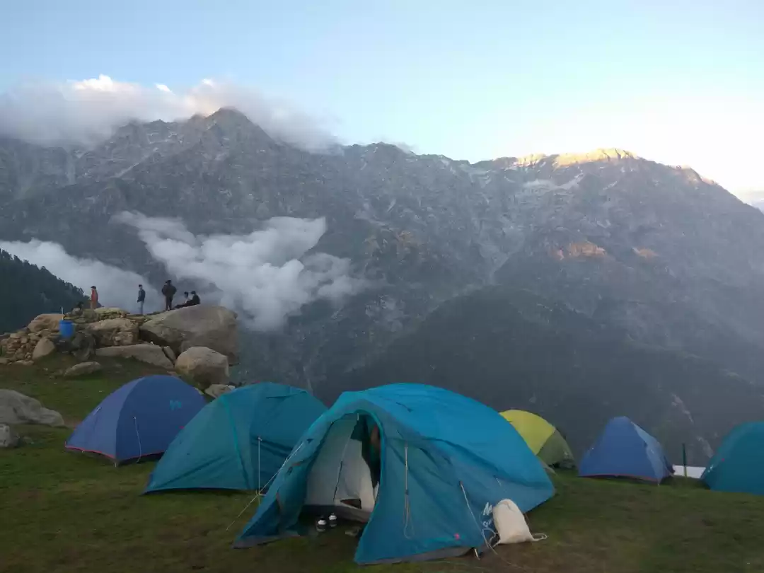 Photo of All you want to know