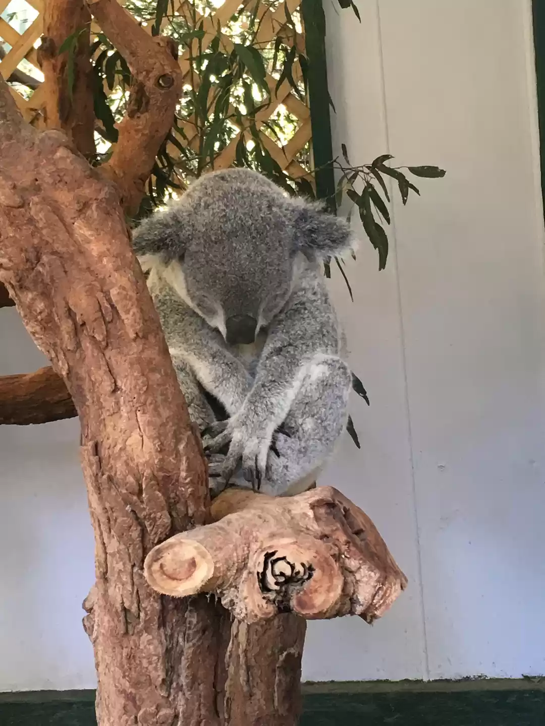 Photo of My experience in Mel