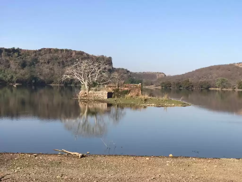 Photo of Ranthambore- The Lan