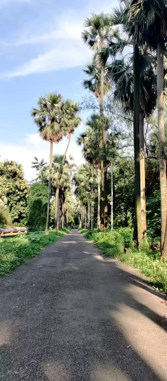 Photo of Botanical Garden, Ko