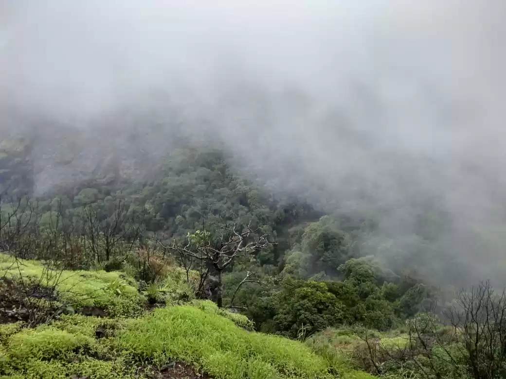 Photo of 2nd highest fort in 