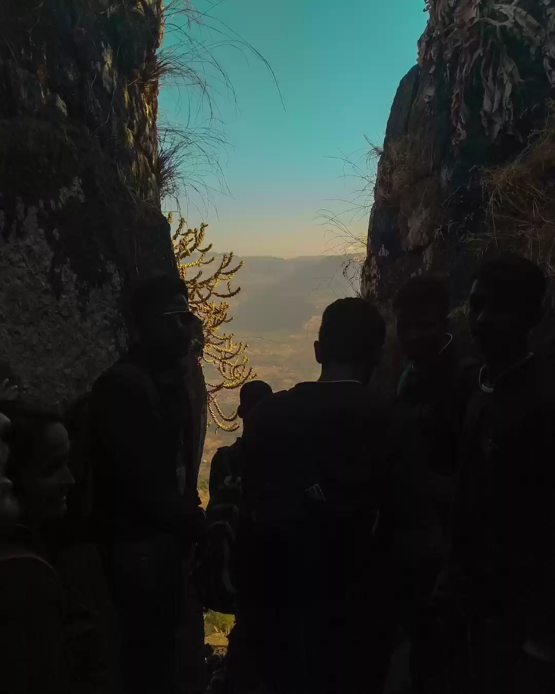 Photo of Reason you should tr