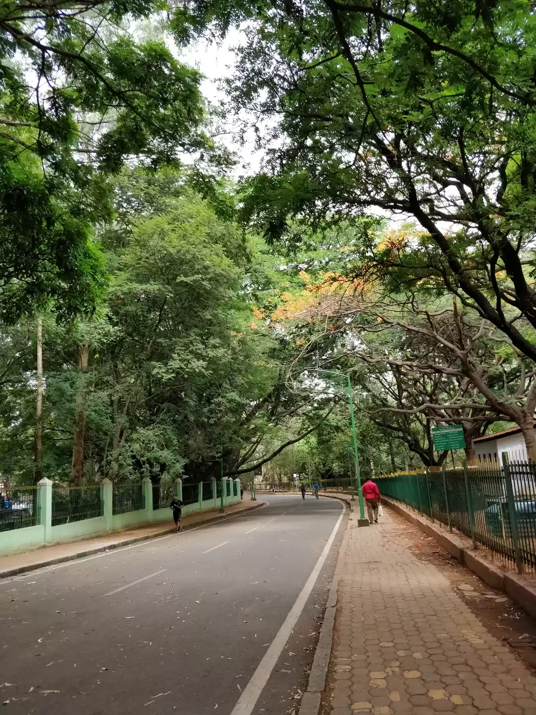 Photo of A walk through Cubbo