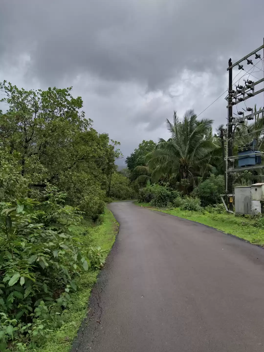 Photo of Monsoon in Goa-What'