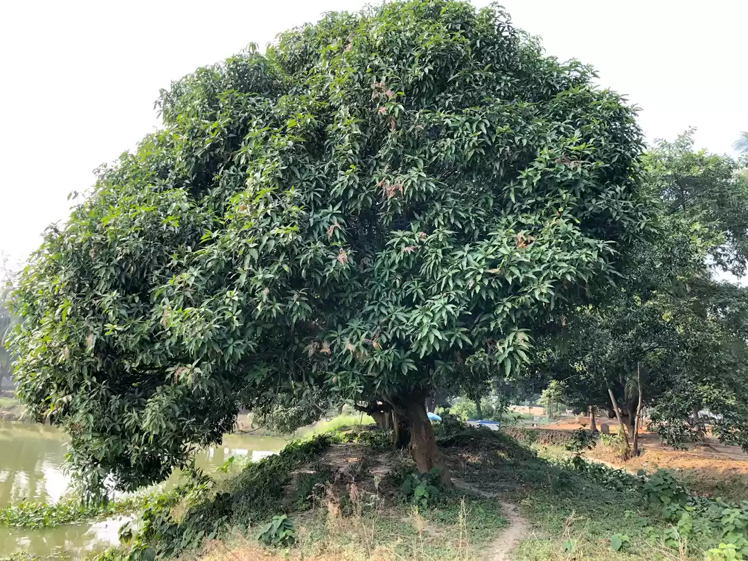 Photo of Relax with your fami