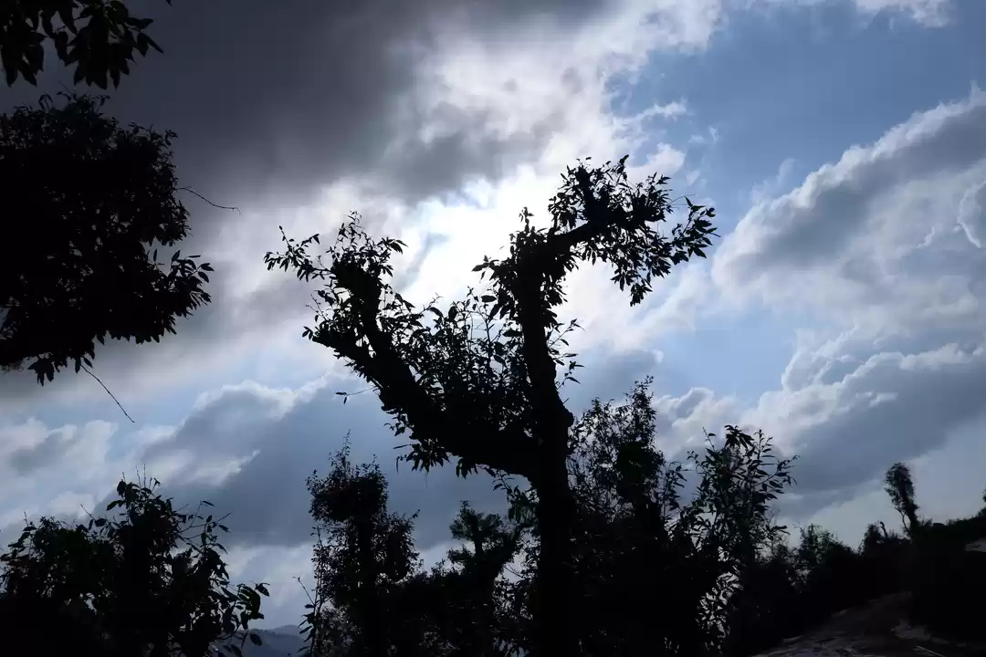 Photo of Nag Tibba, Mussorie,