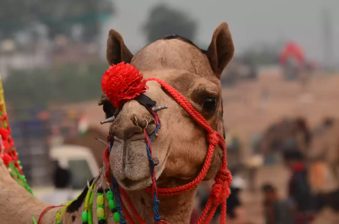 Photo of Weekend trip to Push