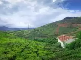 Photo of ऊटी के यह नज़ारे आपको