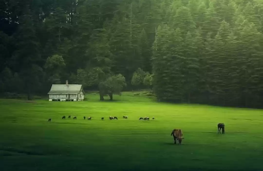 Photo of खज्जियार : भारत का म