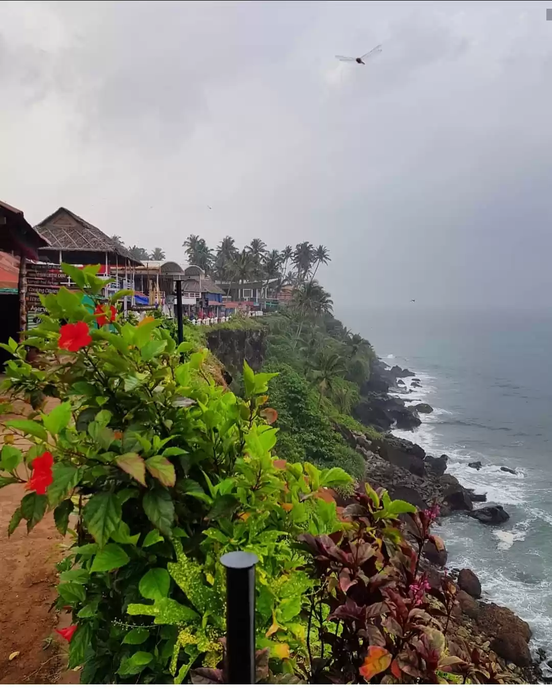 Photo of वर्कला : एक खूबसूरत