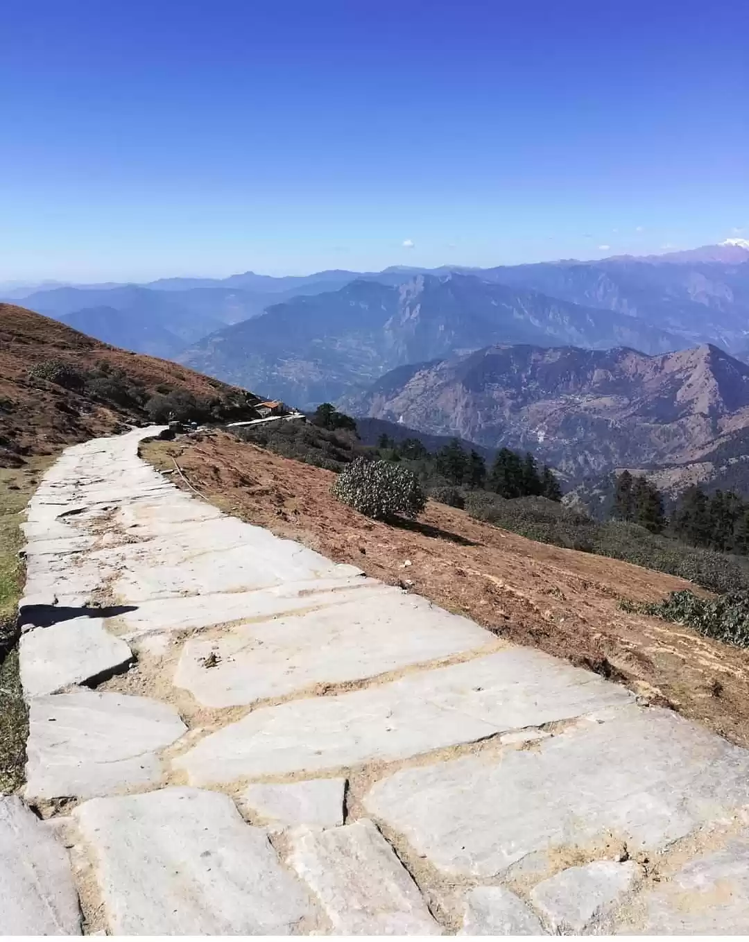 Photo of चोपटा : प्रकृति जो क