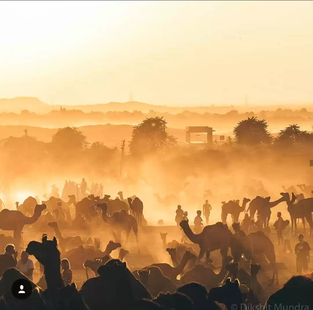 Photo of पुष्कर : ब्रह्मा स्थ