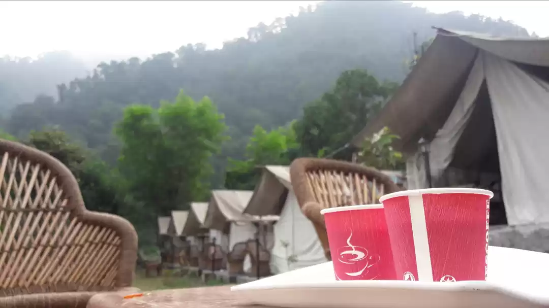 Photo of Solo Friendly Rishik