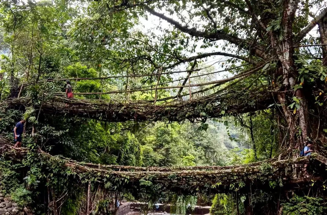 Photo of Marvels of Meghalaya